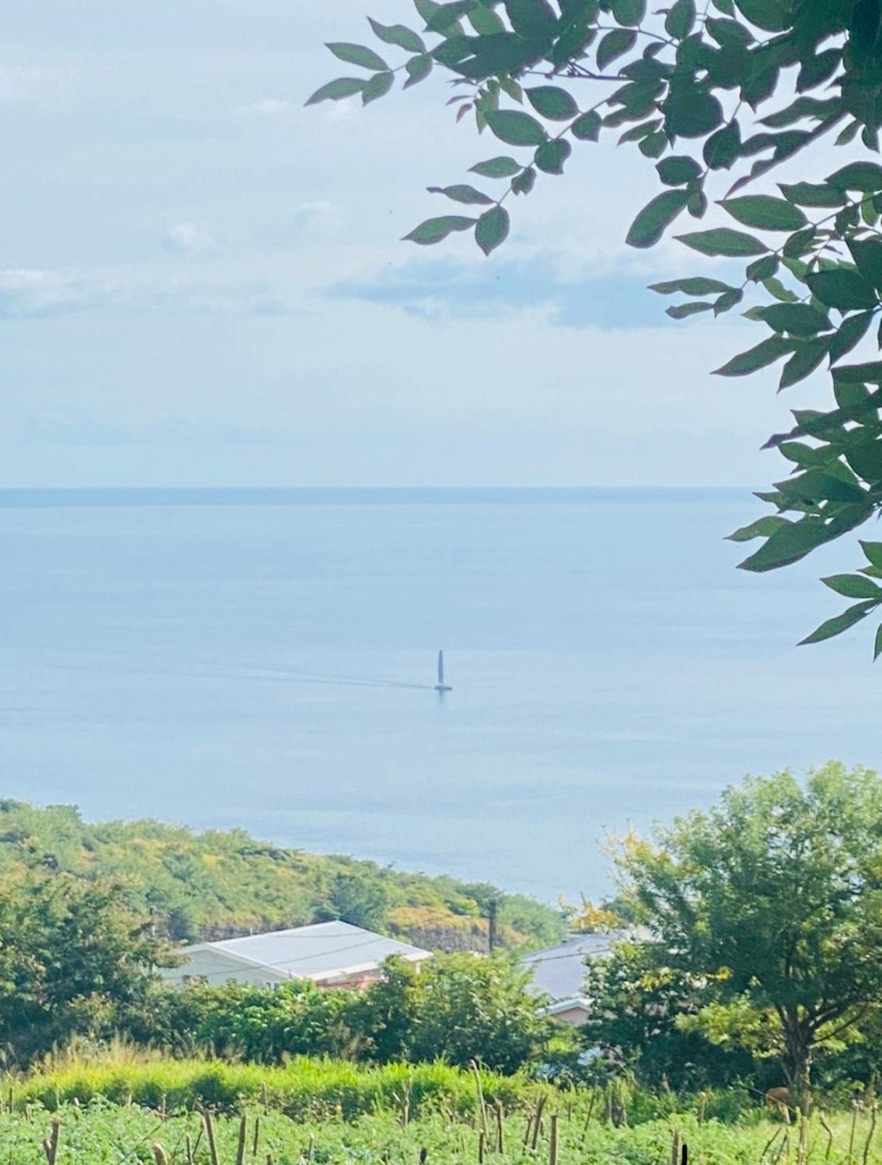 Bas De Villa Vacances Ocean Le Carbet Bagian luar foto